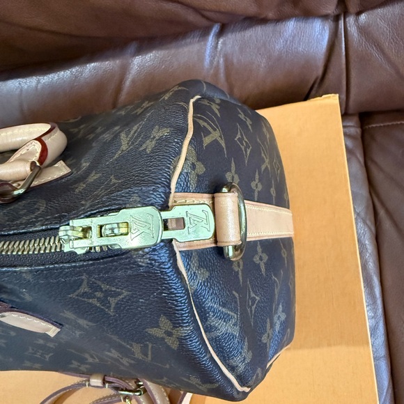 Louis Vuitton Speedy 30 Bandolier - Picture 5 of 16